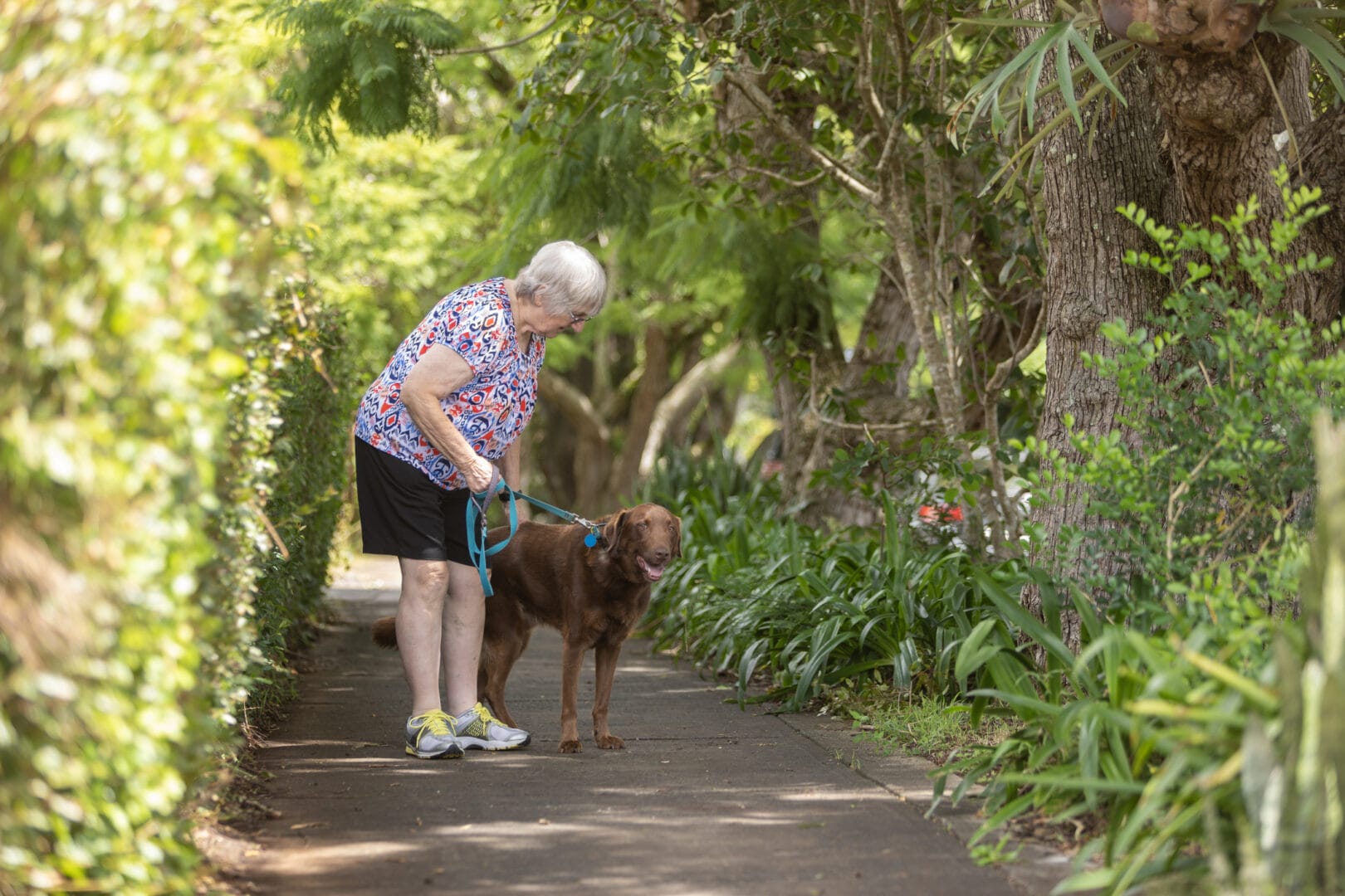 Best Companion Pet for Seniors: Enhancing Well-Being Through Animal Companionship