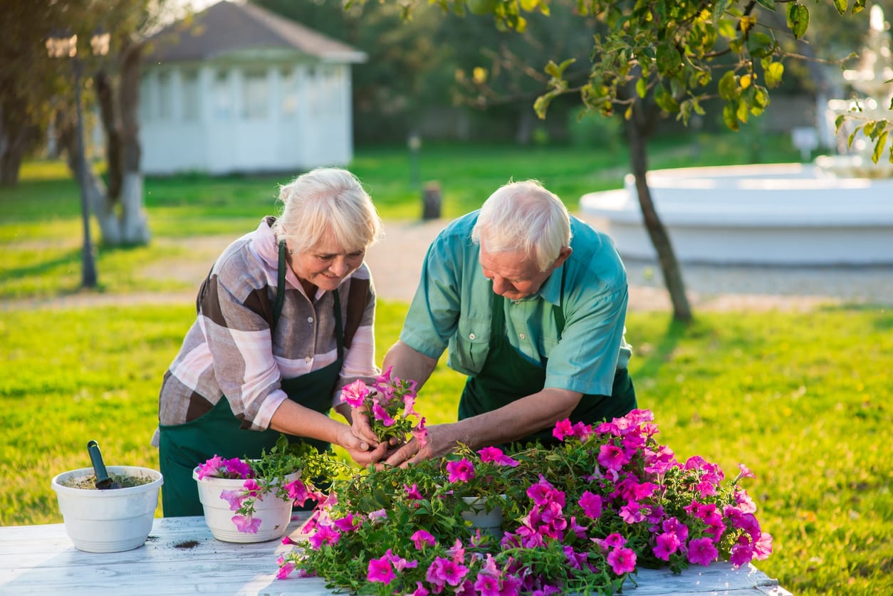 Sensory Gardens: Awakening the Senses in Senior Living Spaces