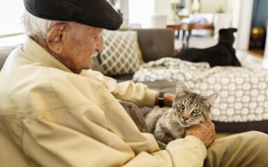 Cats for Seniors: Boosting Health & Happiness