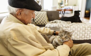 Cats for Seniors: Boosting Health & Happiness