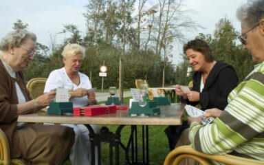 Four senior bridge players in the garden