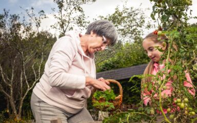 Senior-Friendly Tips for Summer Vegetable Gardening