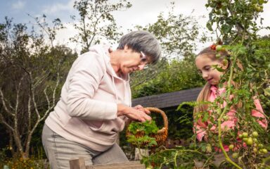 Senior-Friendly Tips for Summer Vegetable Gardening
