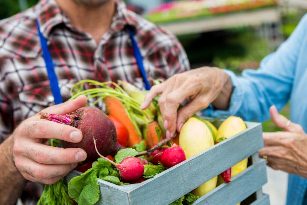 Male farmer selling fresh summer fruits and vegetables to senior woman