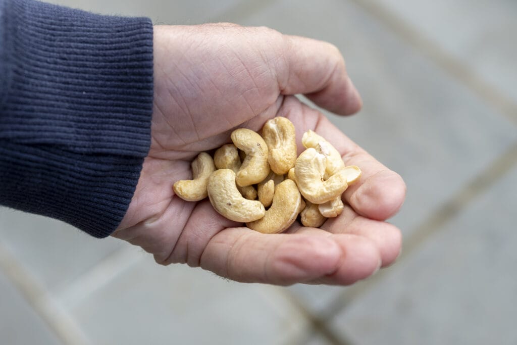 A senior man holding a handful of nuts.