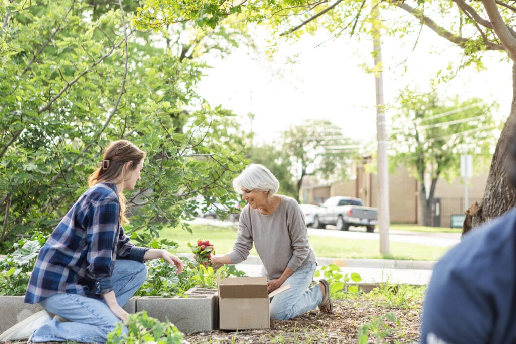 The young woman and the senior woman are harvesting root vegetables in their community garden as a social activity.