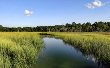 Lowcountry